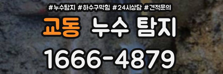 교동 누수 탐지