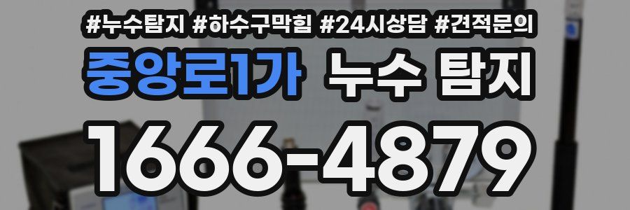 중앙로1가 누수 탐지