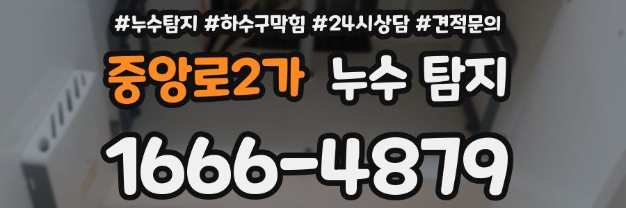 중앙로2가 누수 탐지