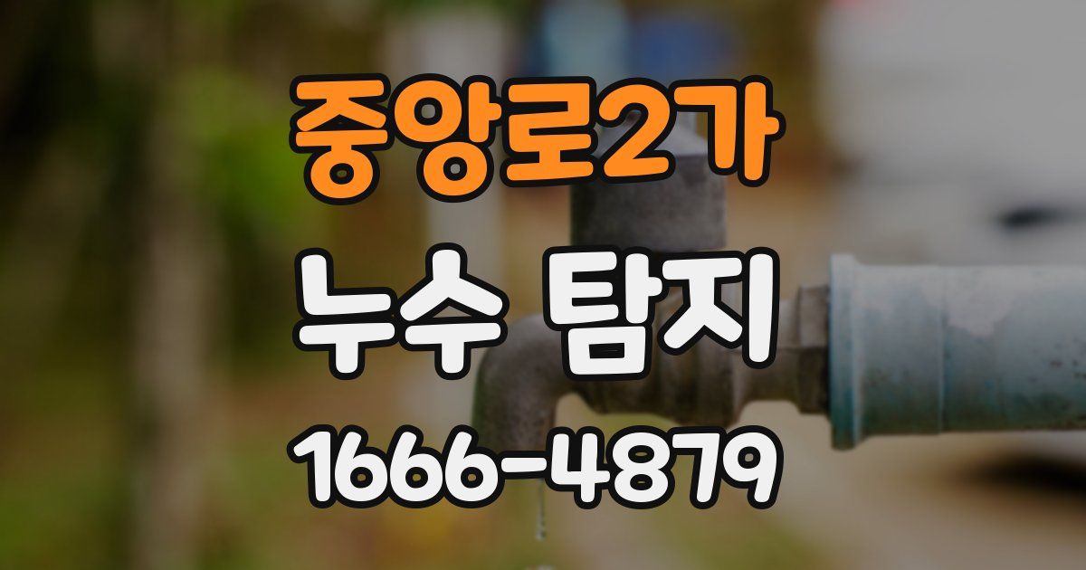 중앙로2가 누수 탐지