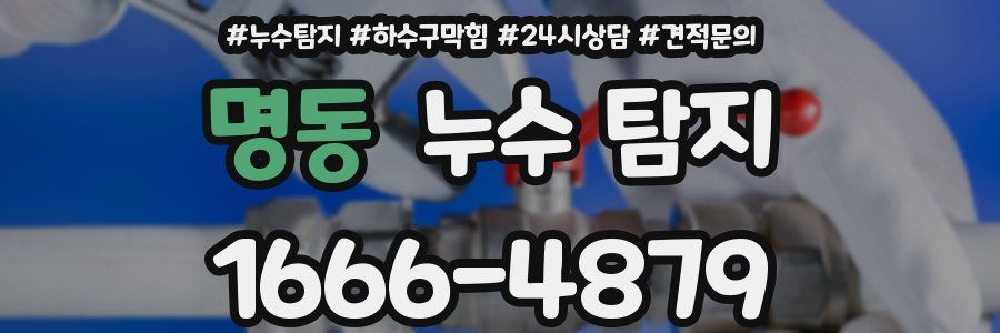 명동 누수 탐지