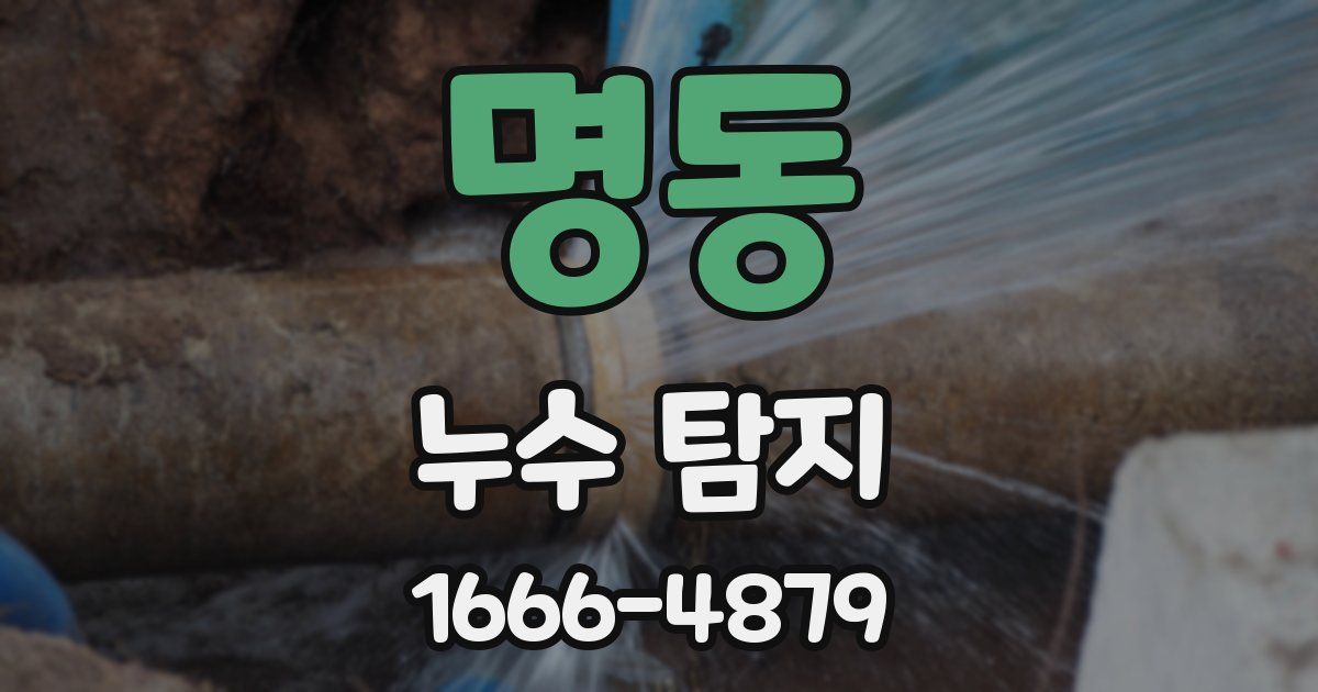 명동 누수 탐지