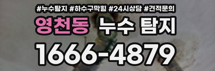 영천동 누수 탐지