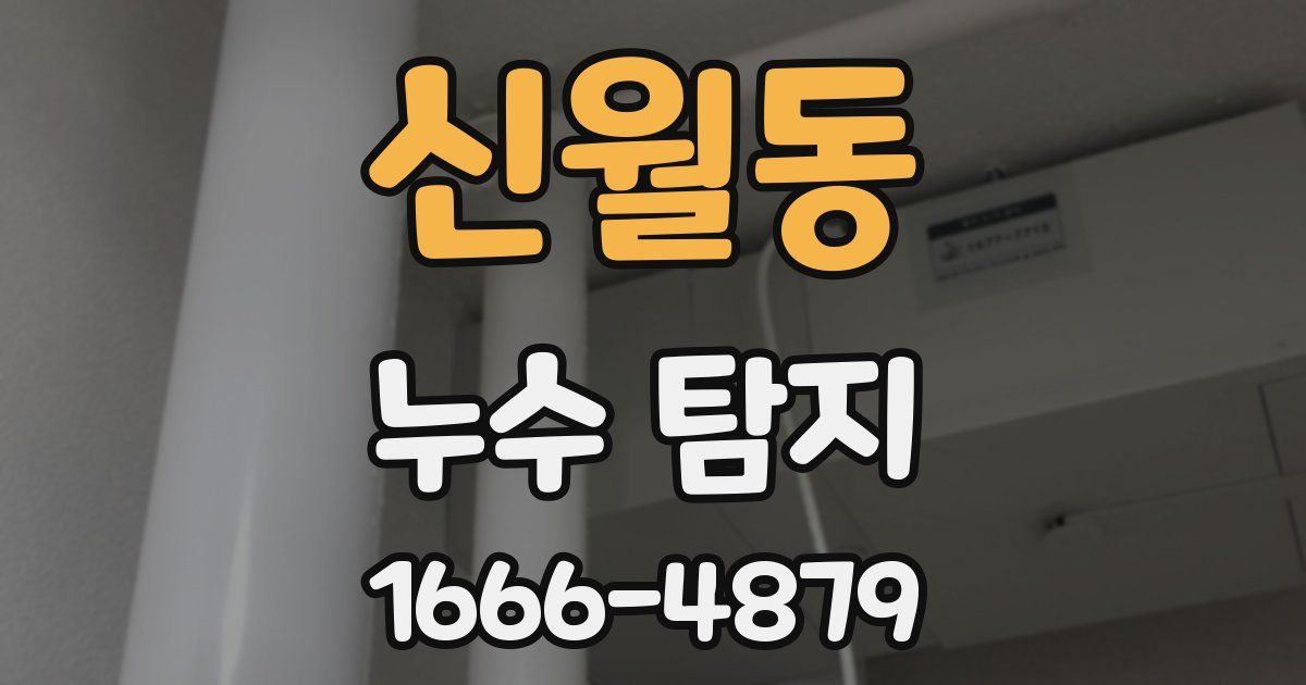 신월동 누수 탐지