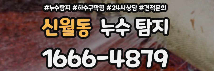 신월동 누수 탐지