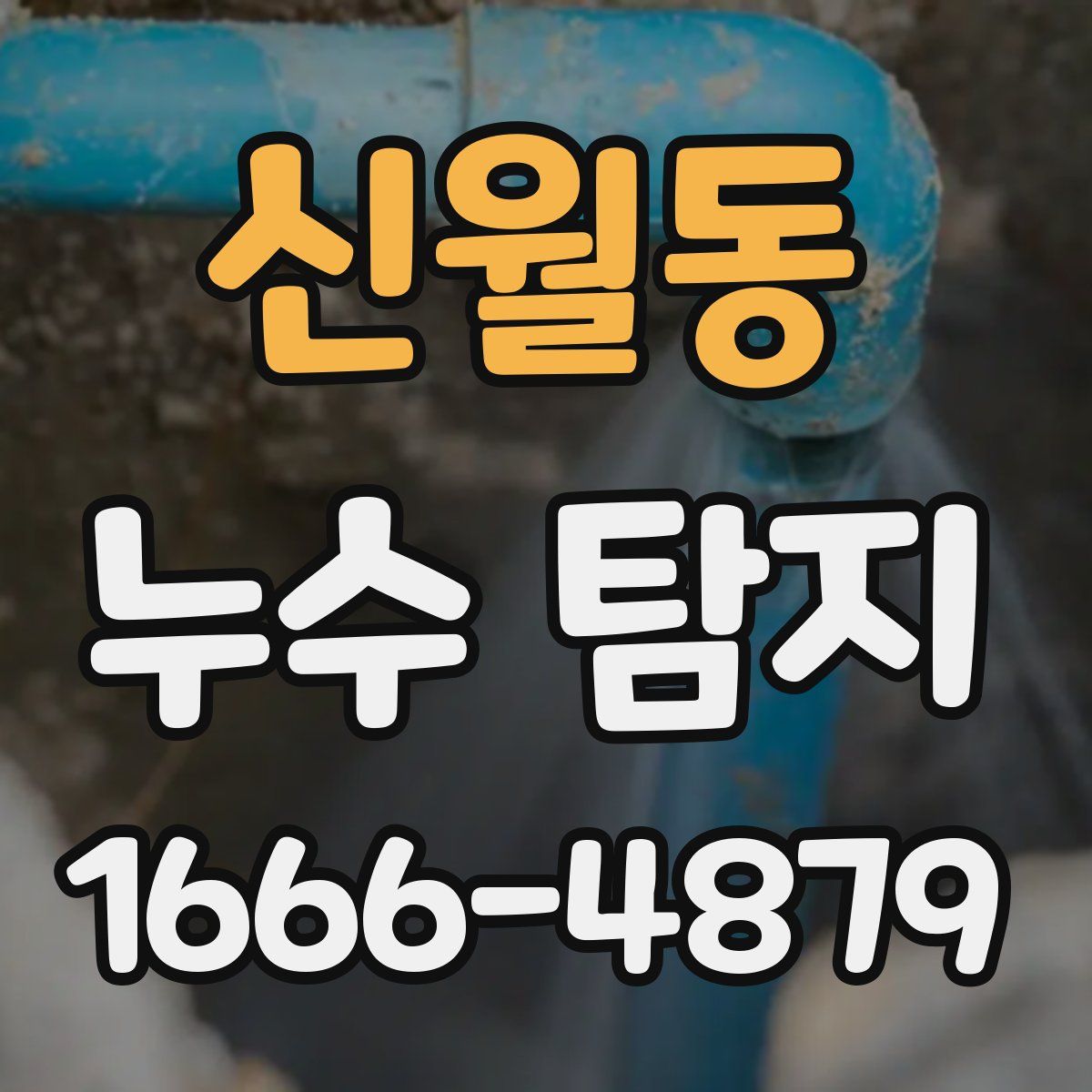 신월동 누수 탐지