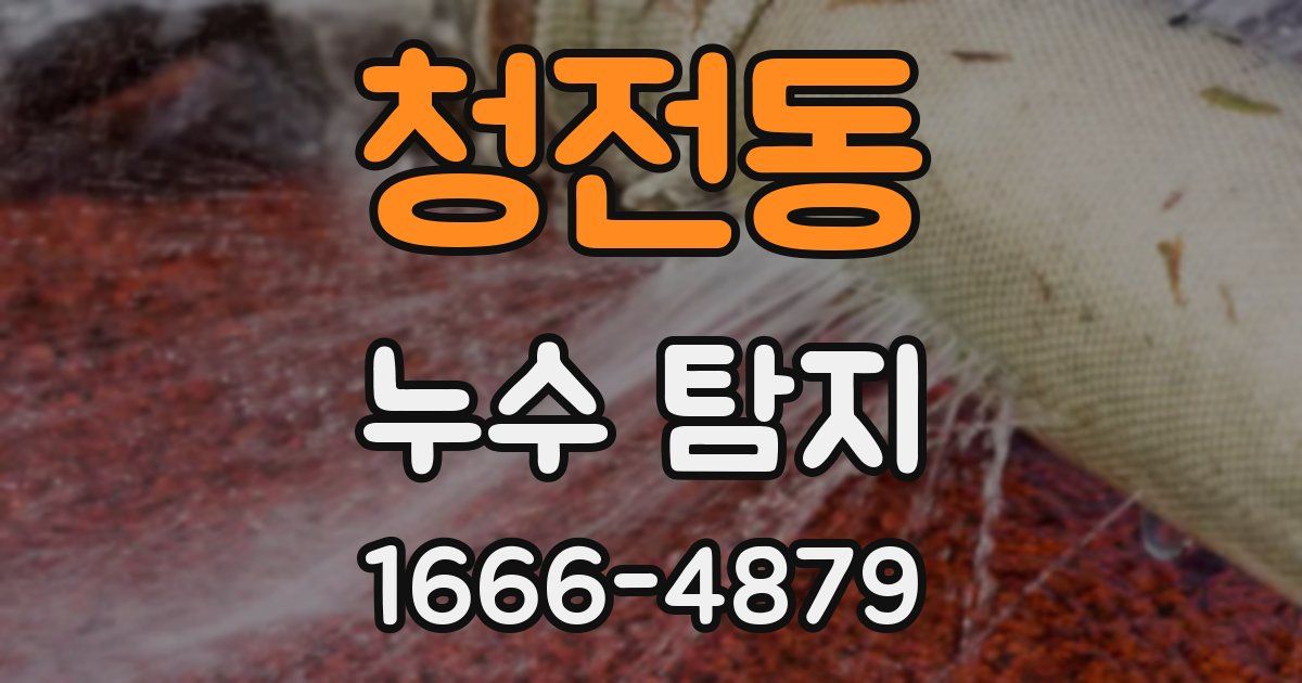 청전동 누수 탐지