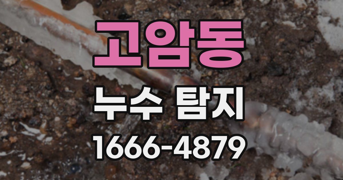 고암동 누수 탐지