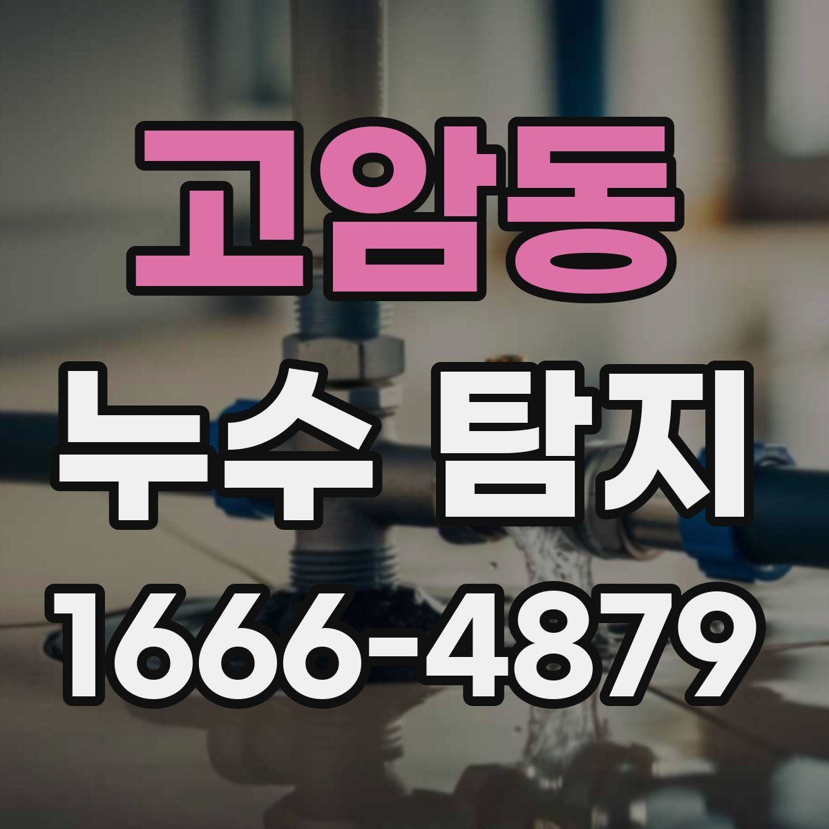 고암동 누수 탐지