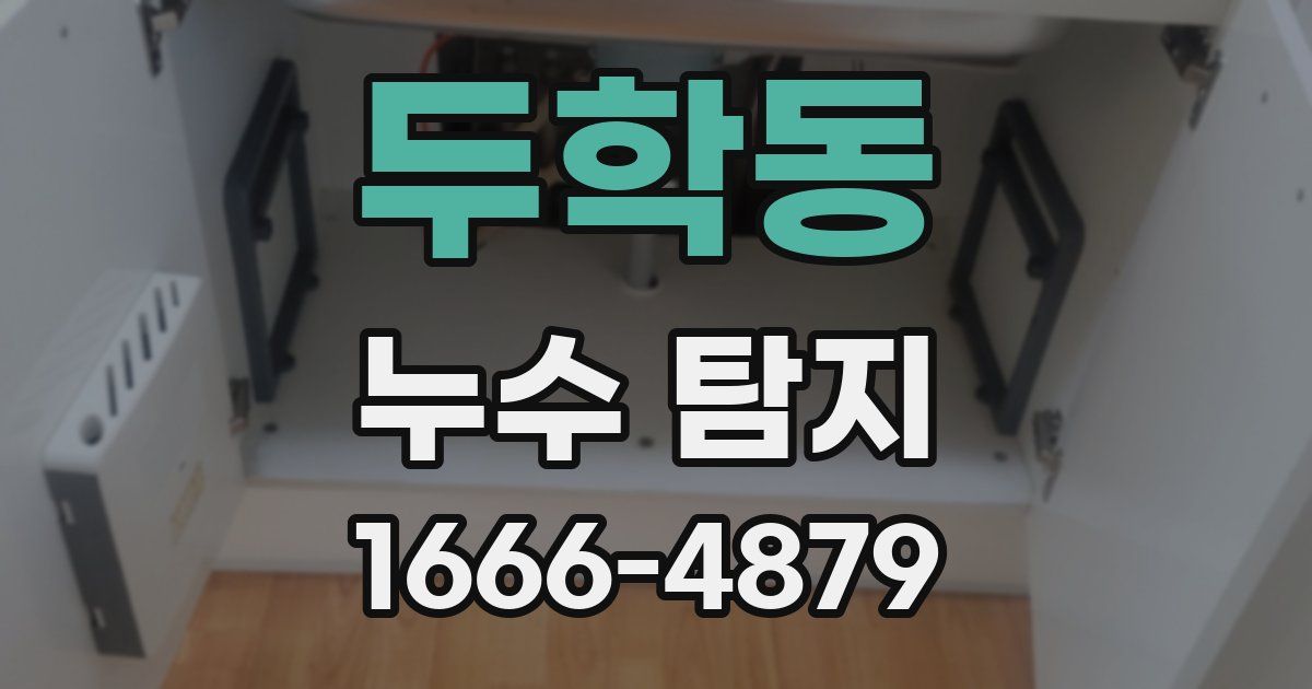 두학동 누수 탐지