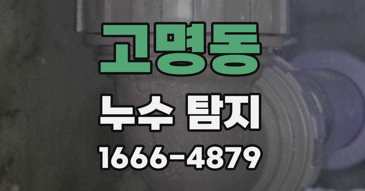 고명동 누수 탐지