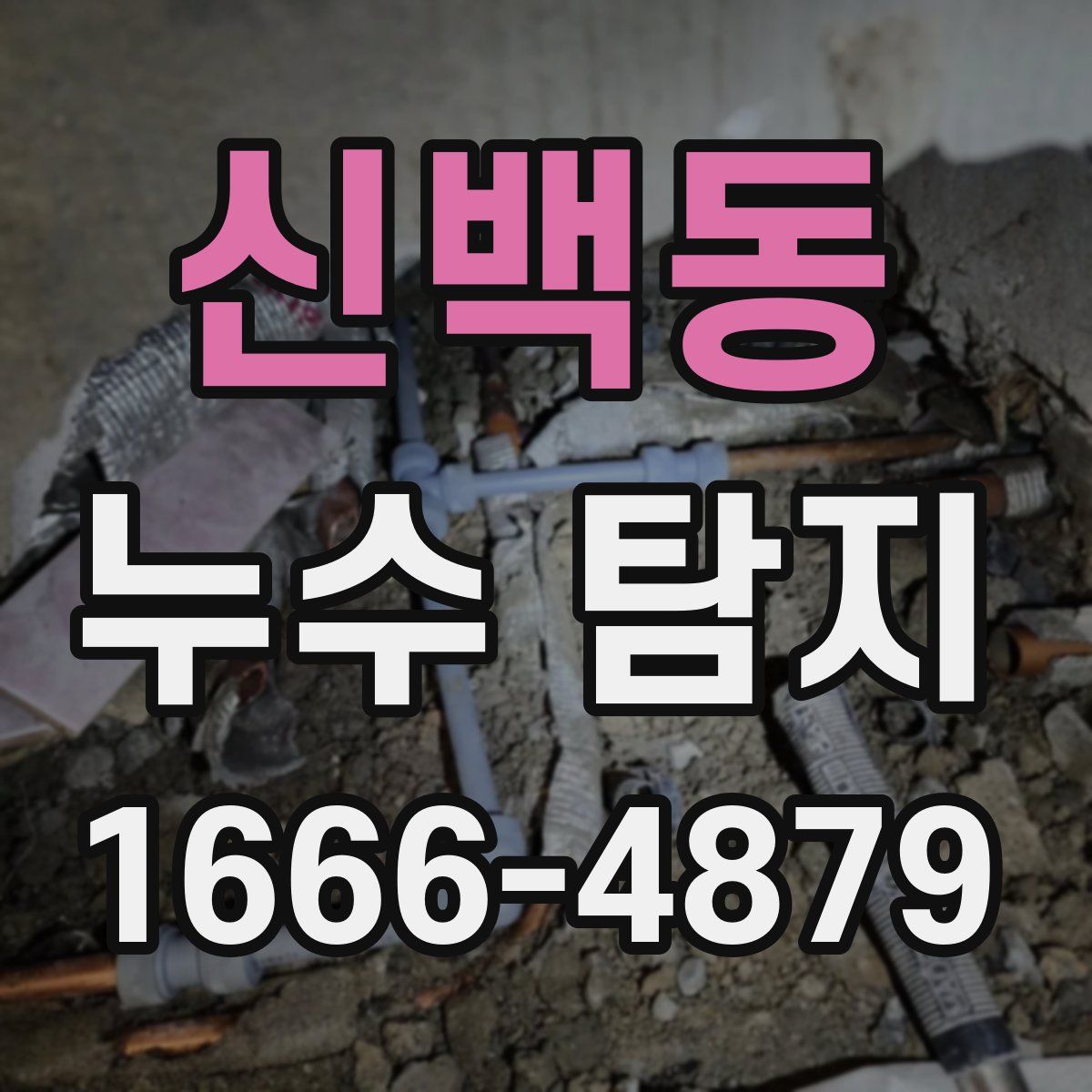 신백동 누수 탐지