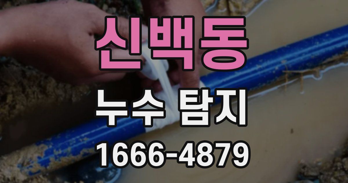 신백동 누수 탐지