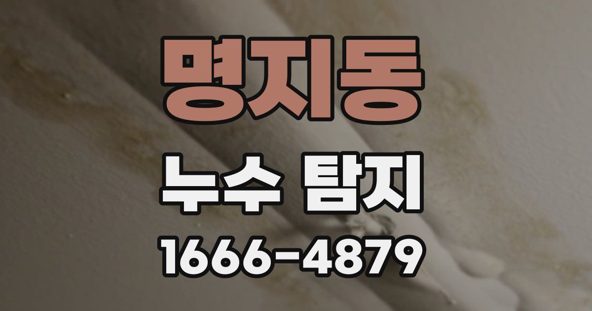 명지동 누수 탐지