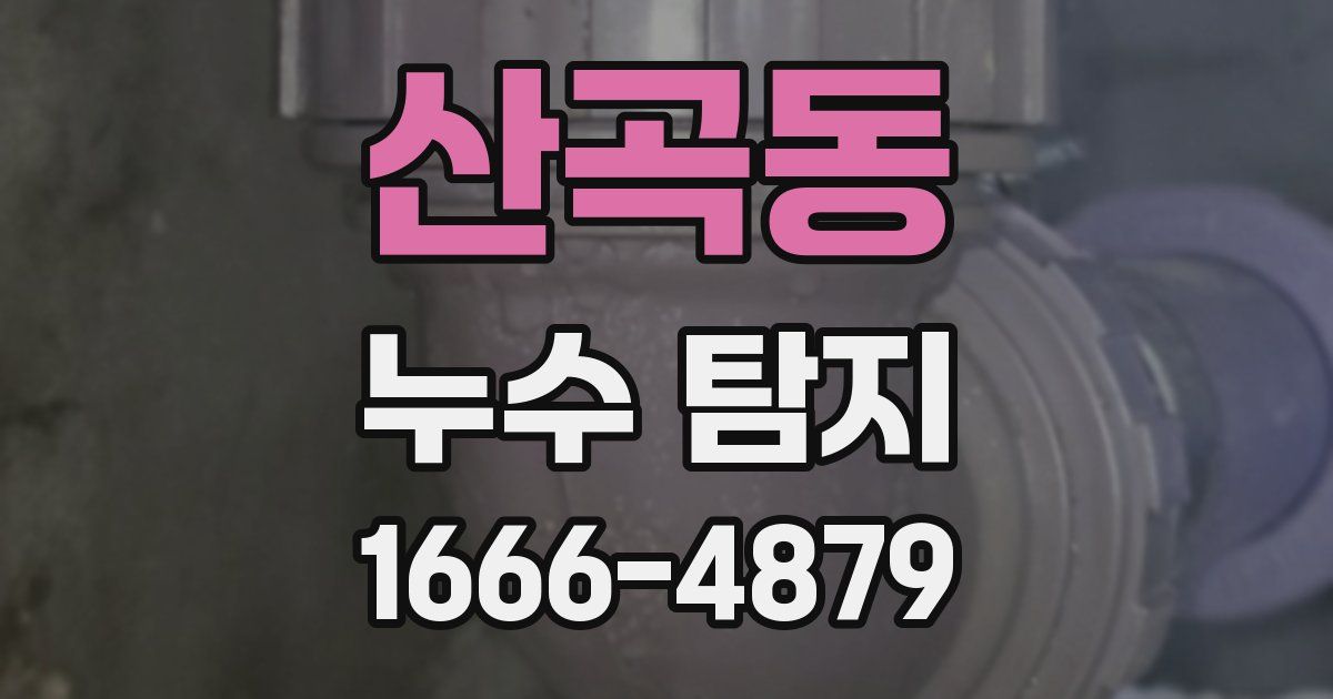 산곡동 누수 탐지
