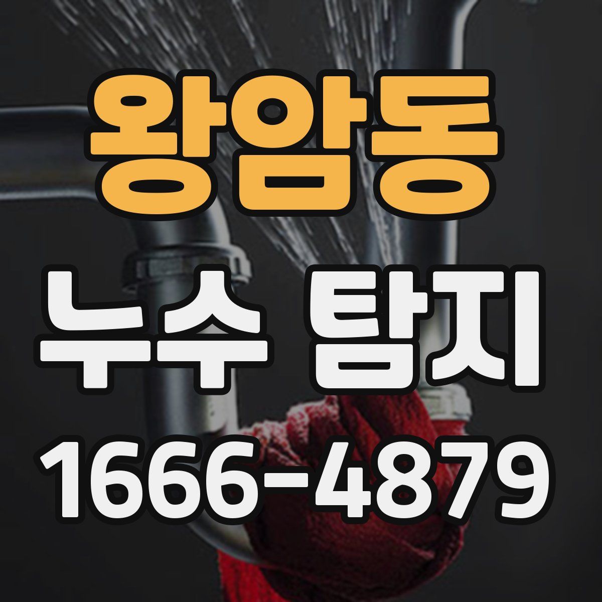 왕암동 누수 탐지