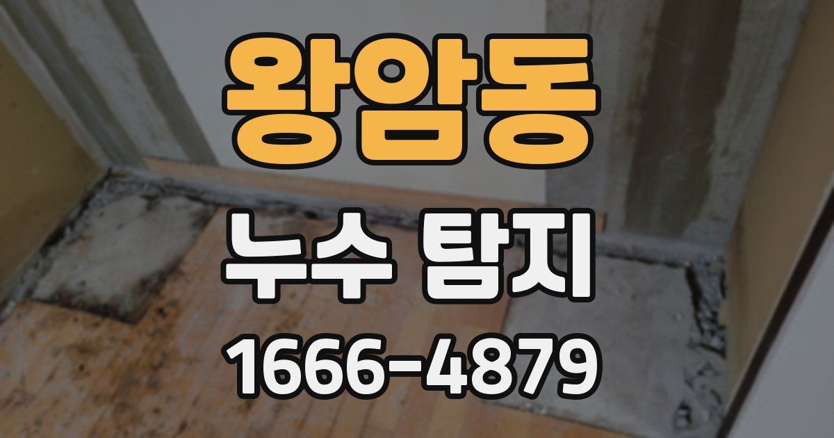 왕암동 누수 탐지