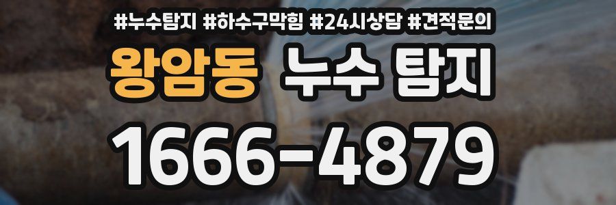 왕암동 누수 탐지