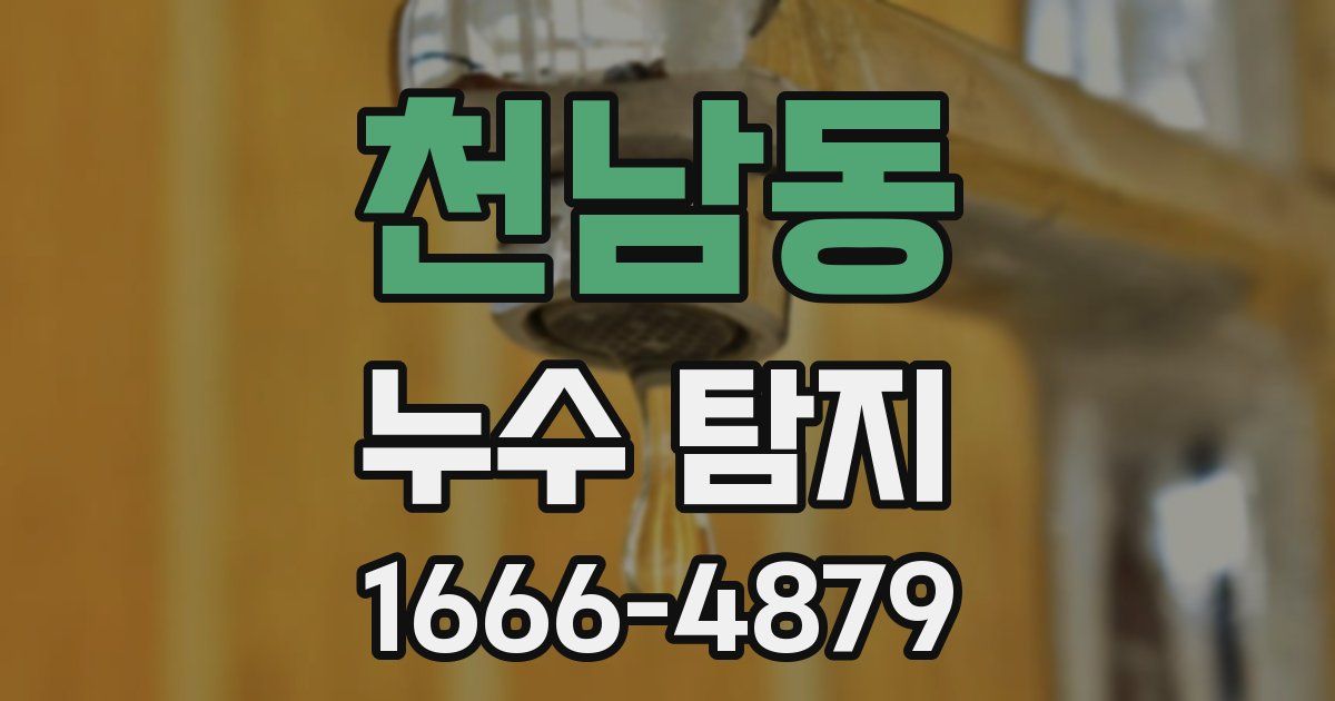 천남동 누수 탐지