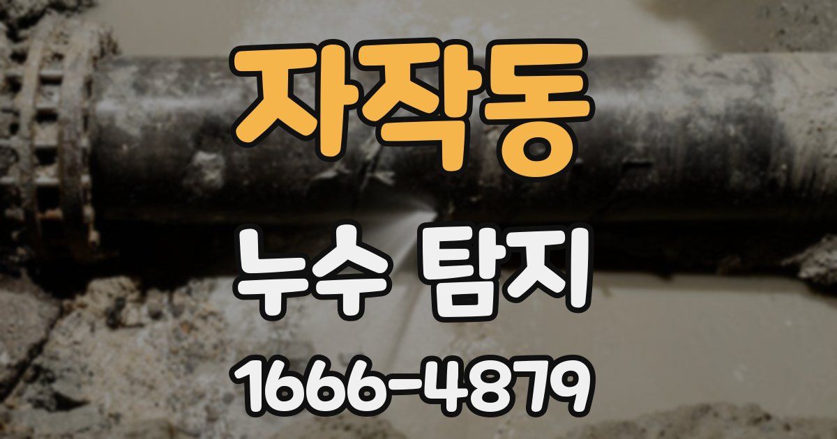 자작동 누수 탐지