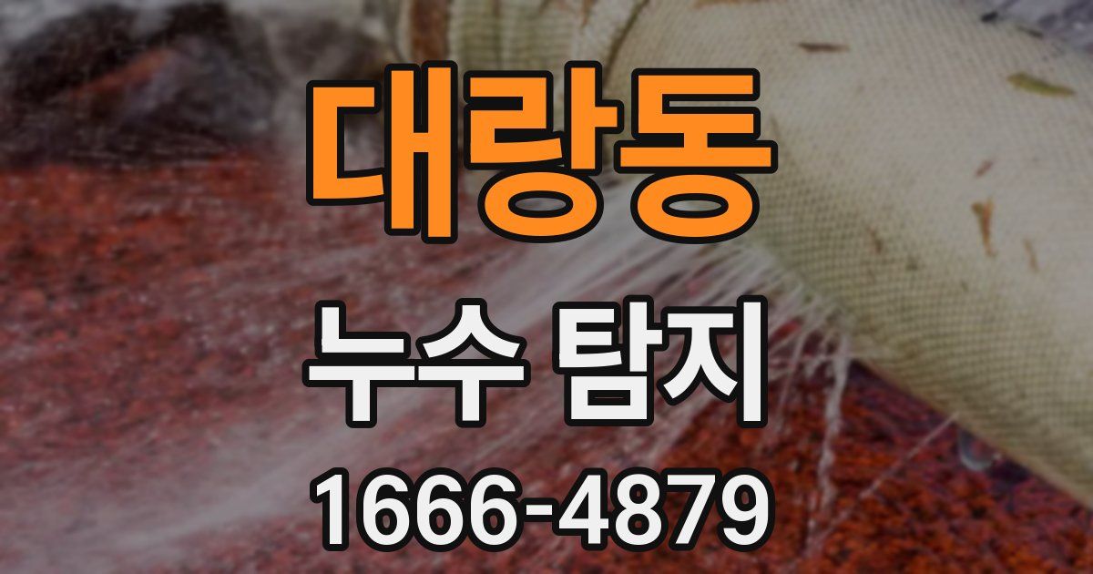 대랑동 누수 탐지