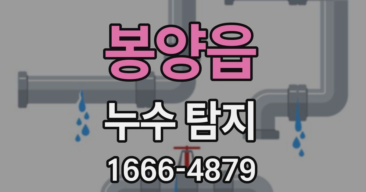 봉양읍 누수 탐지