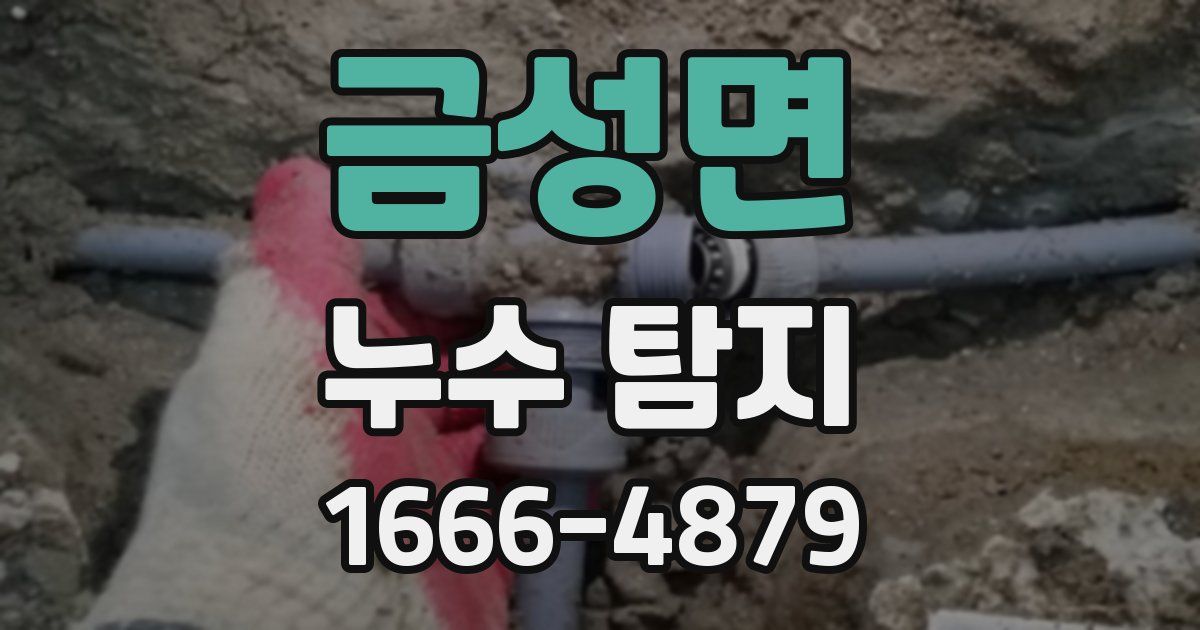 금성면 누수 탐지