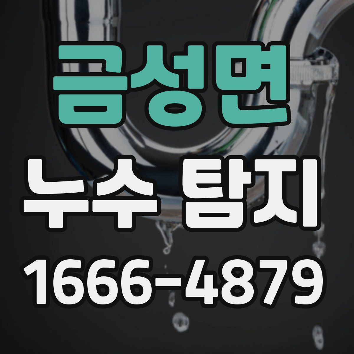 금성면 누수 탐지