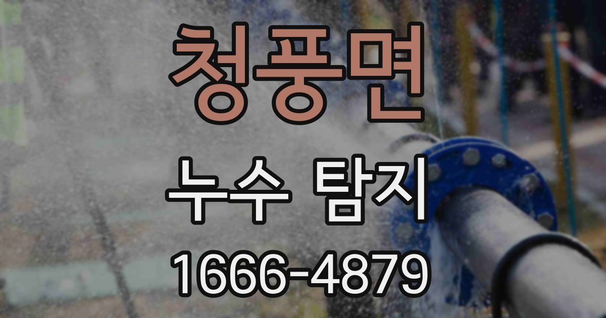 청풍면 누수 탐지