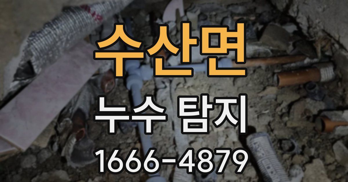 수산면 누수 탐지