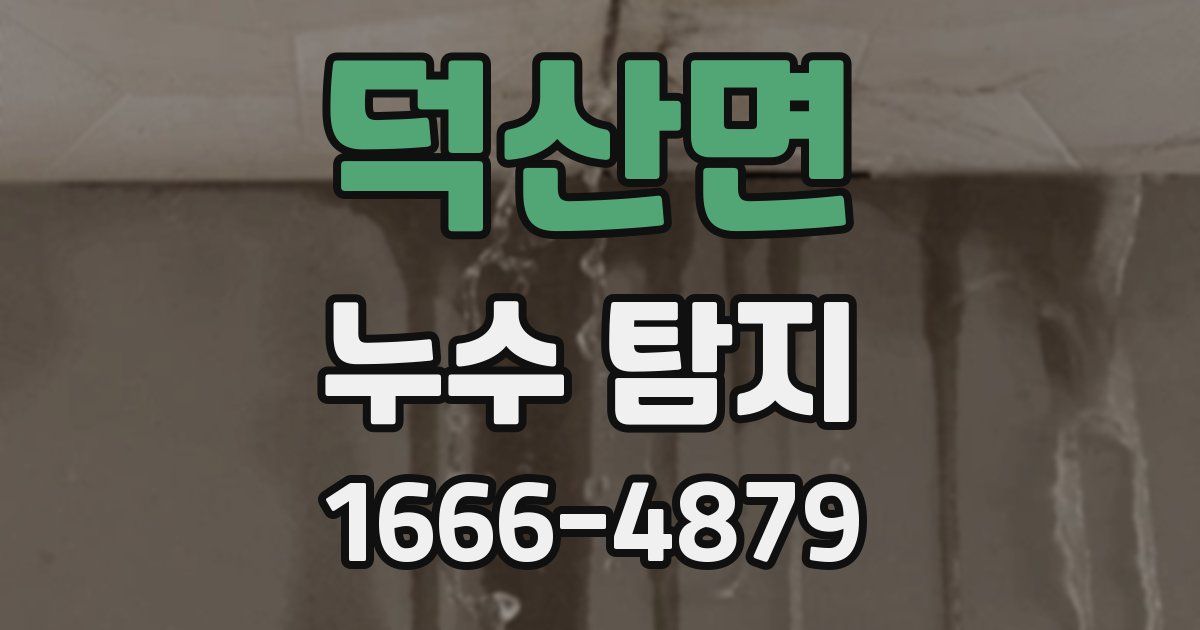 덕산면 누수 탐지