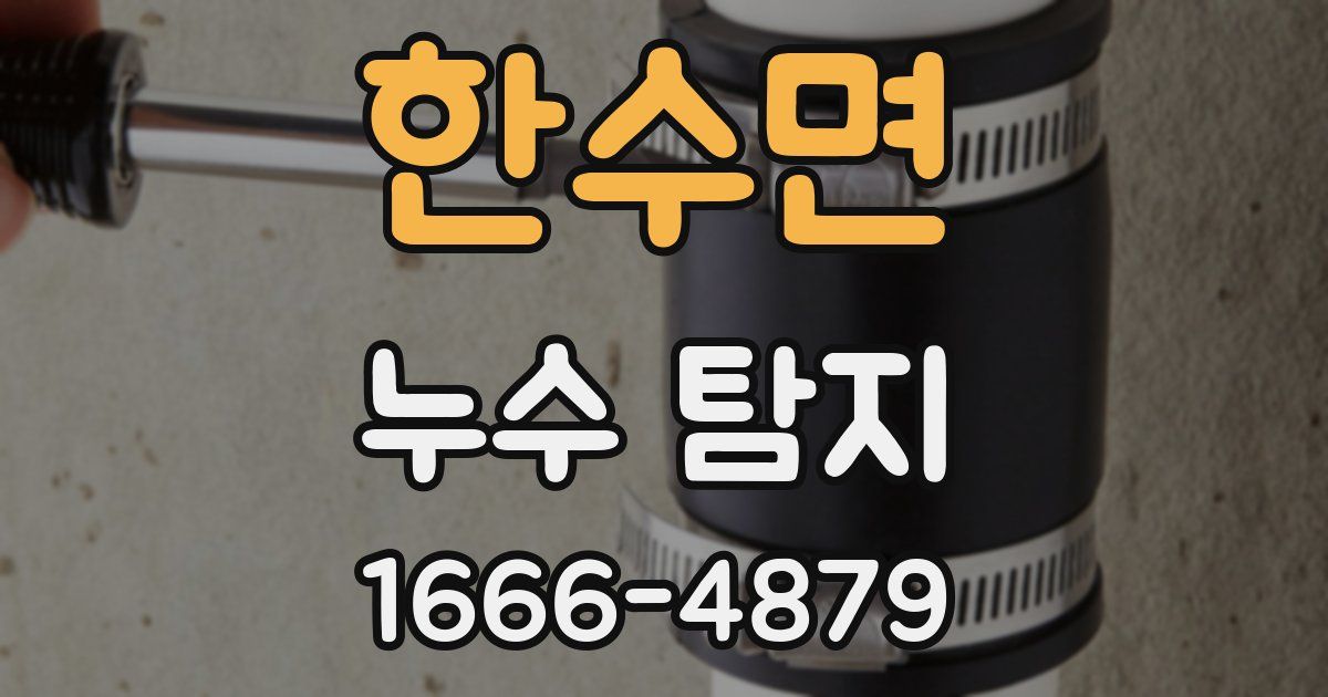 한수면 누수 탐지