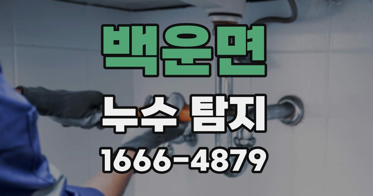 백운면 누수 탐지