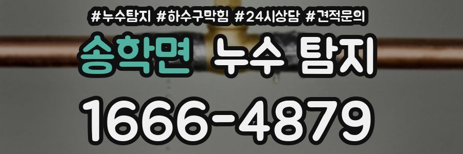 송학면 누수 탐지