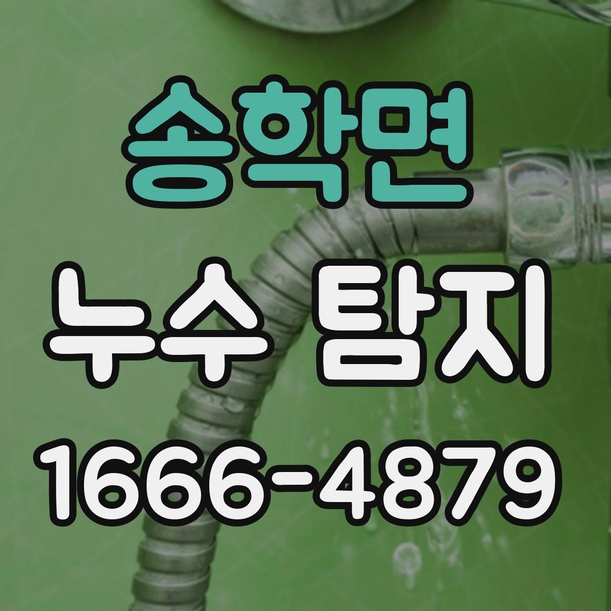 송학면 누수 탐지