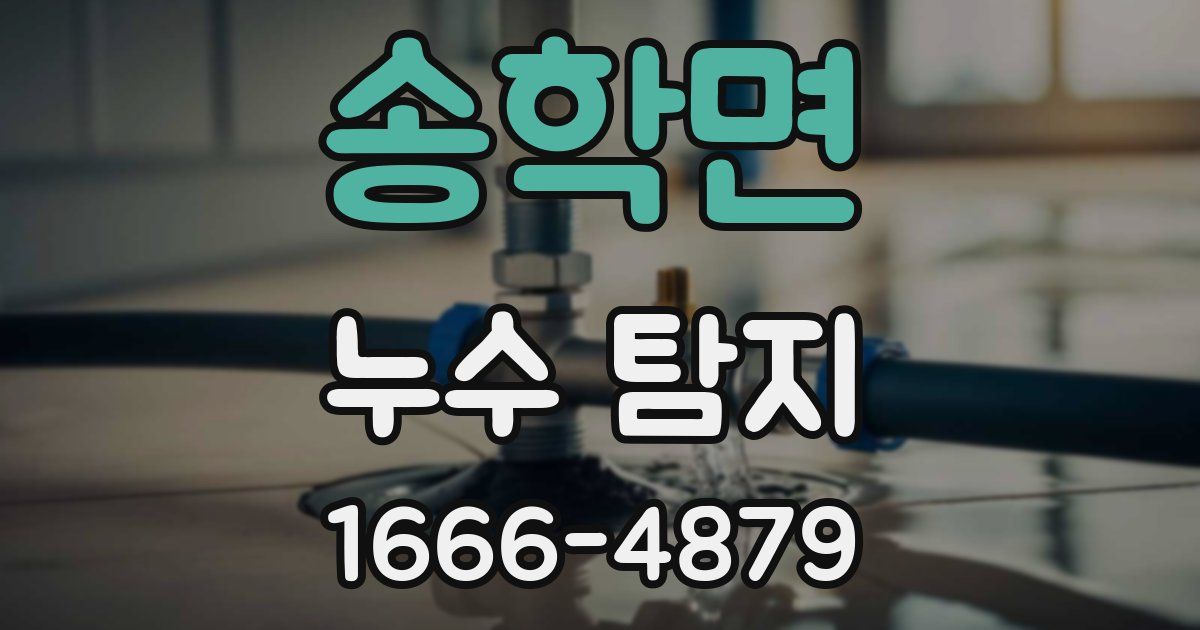 송학면 누수 탐지