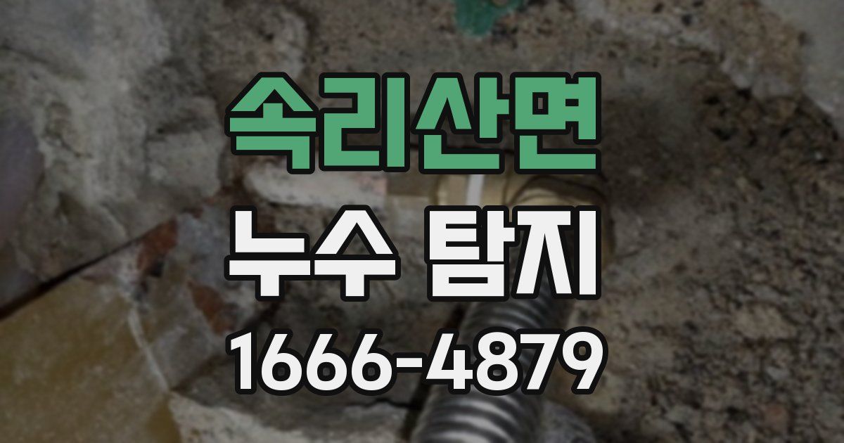 속리산면 누수 탐지