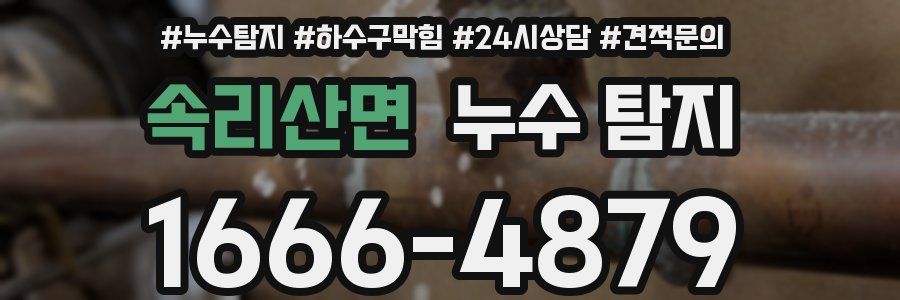 속리산면 누수 탐지