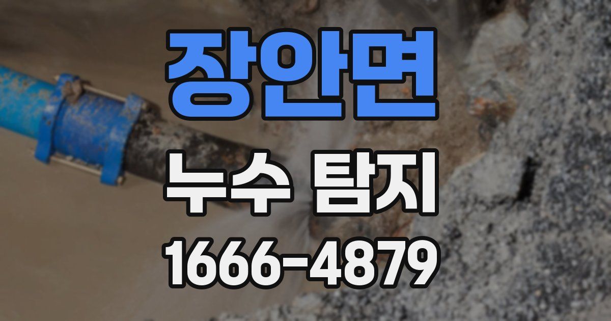장안면 누수 탐지