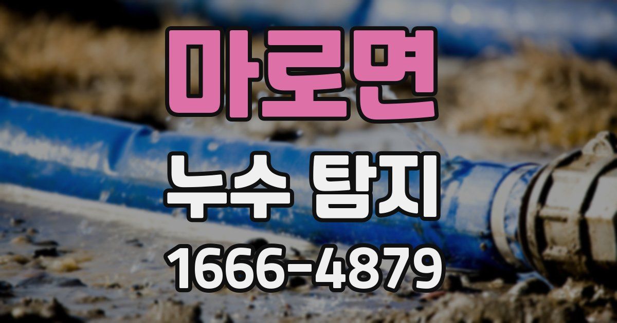 마로면 누수 탐지