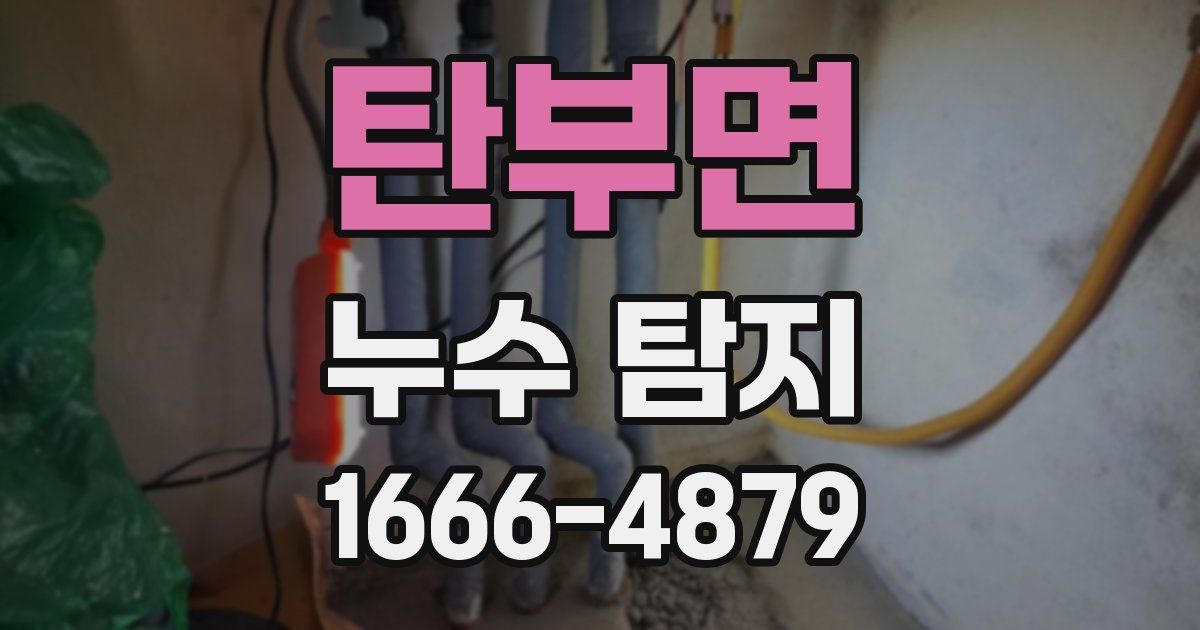 탄부면 누수 탐지