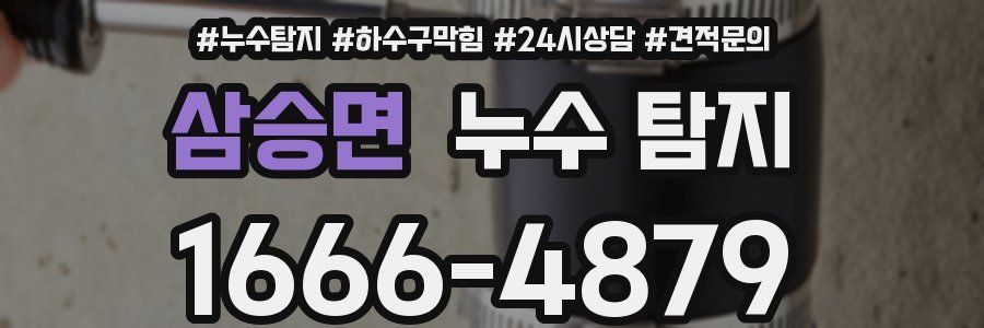 삼승면 누수 탐지