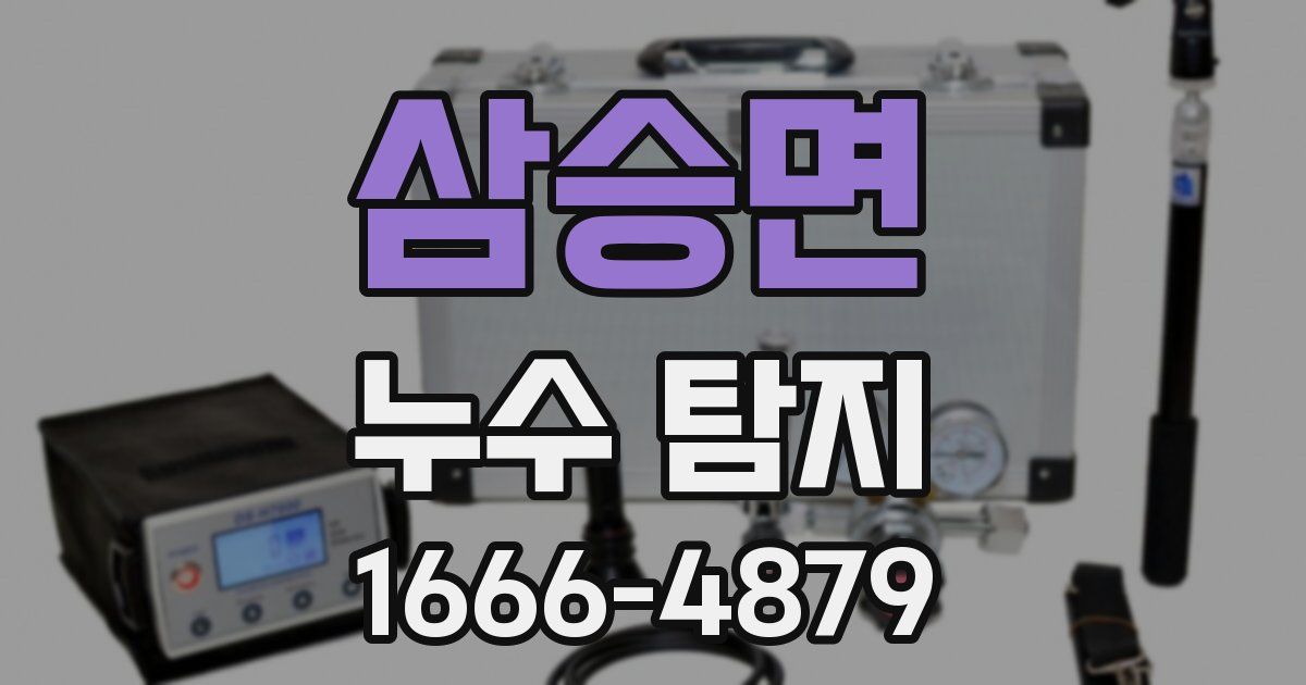 삼승면 누수 탐지