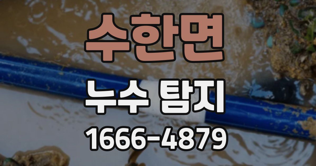 수한면 누수 탐지