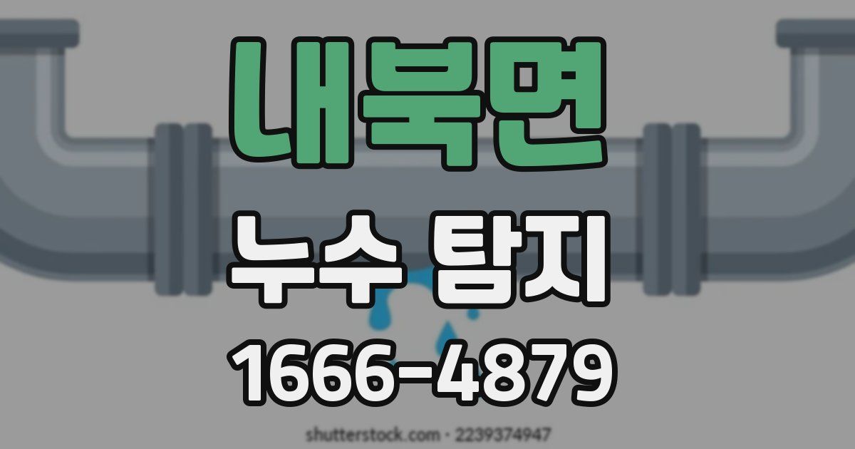 내북면 누수 탐지