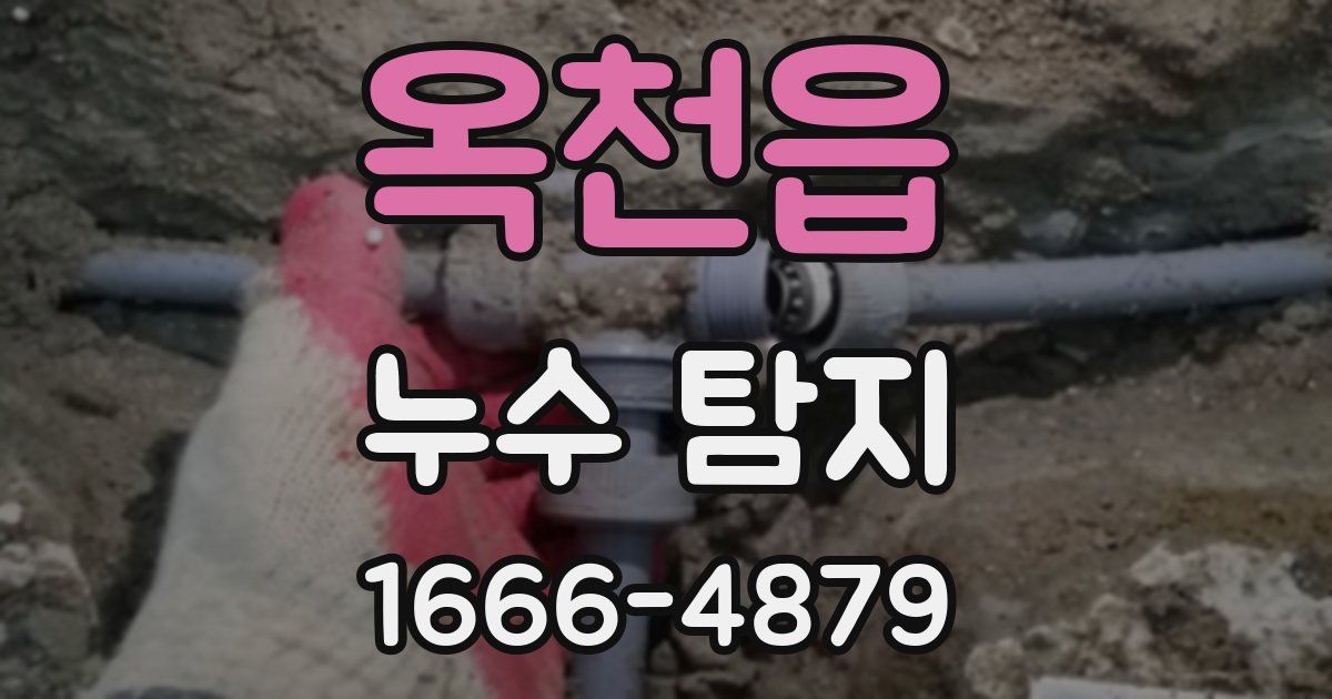 옥천읍 누수 탐지