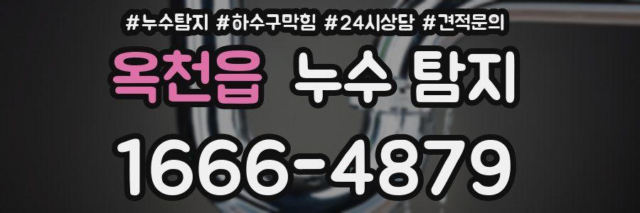 옥천읍 누수 탐지