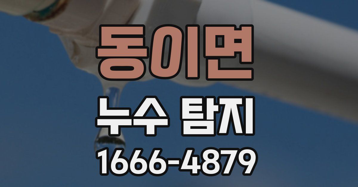 동이면 누수 탐지