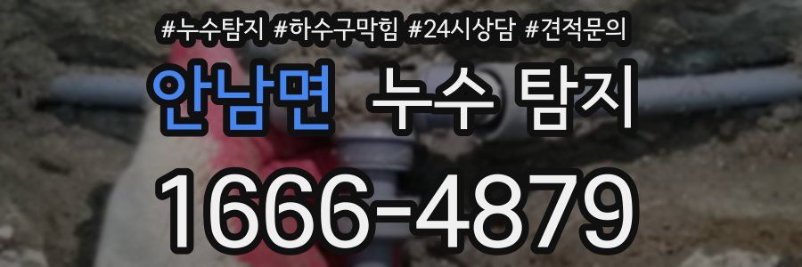 안남면 누수 탐지