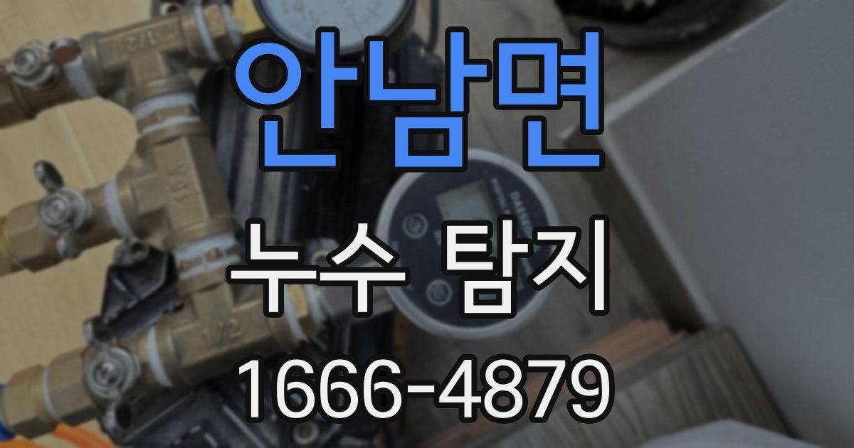 안남면 누수 탐지